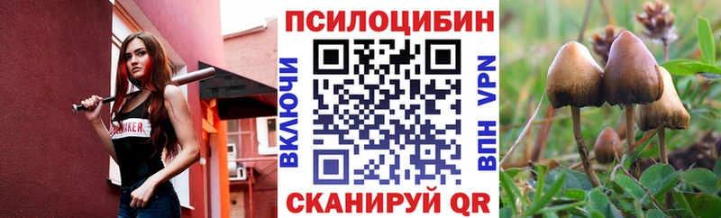Псилоцибиновые грибы Cubensis  Белокуриха 